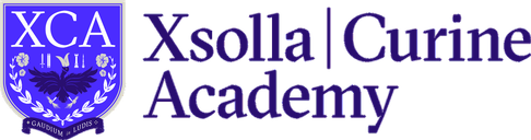 Xsolla Curine Academy